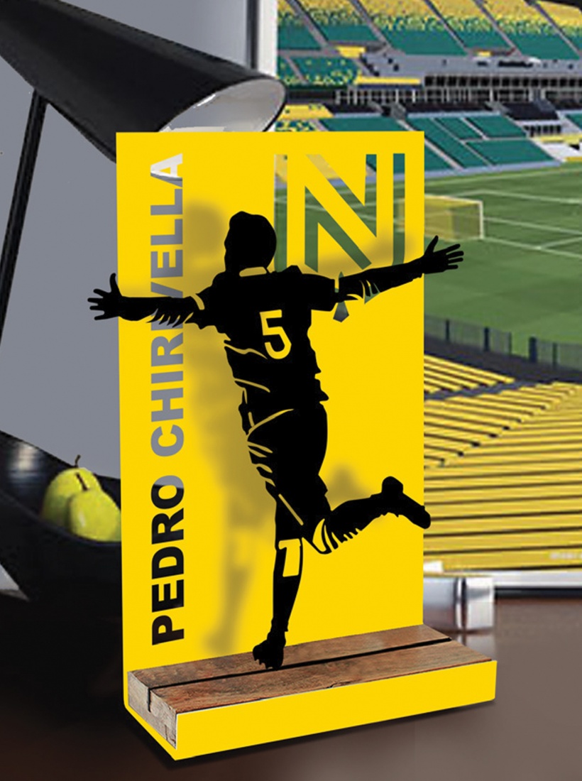 Profil Joueur FC Nantes